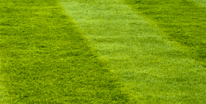 lawn mowing parramatta