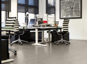 office cleaning milsons point