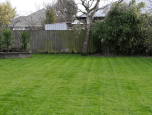 lawn mowing stanhope gardens